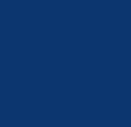 ceo-img